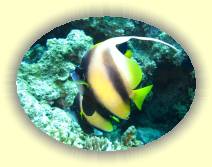 IMG_2007_05_29 15_30_31 * 3072 x 2304 * (934KB)
